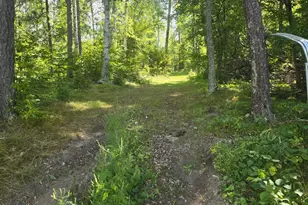 38509 Pickerel Trail, Crosslake, MN 56442 - Photo 48