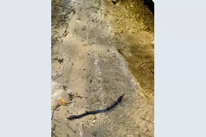 38509 Pickerel Trail, Crosslake, MN 56442 - Photo 54