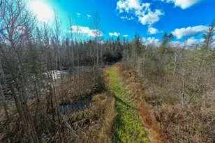 7115 Hwy 1, Finland, MN 55603 - Photo 58