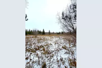Lot 4 - Tbd 330th Street, Warroad, MN 56763 - Photo 10