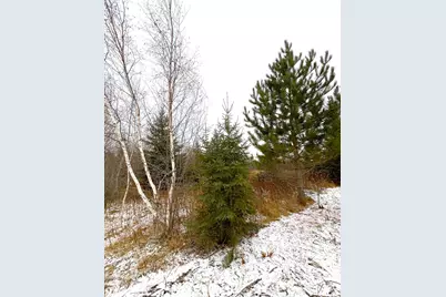 Lot 4 - Tbd 330th Street, Warroad, MN 56763 - Photo 8