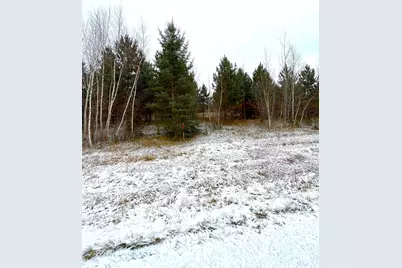 Lot 4 - Tbd 330th Street, Warroad, MN 56763 - Photo 6