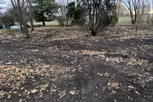 323 Main St, Manchester, MN 56007 - Photo 4