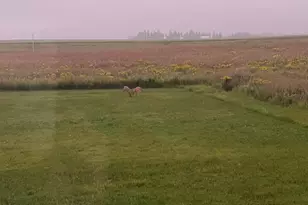 1800 20th Ave Circle NE, Kasson, MN 55944 - Photo 60