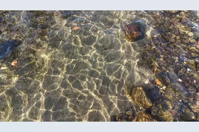 7741 Lake John Drive, Annandale, MN 55302 - Photo 8