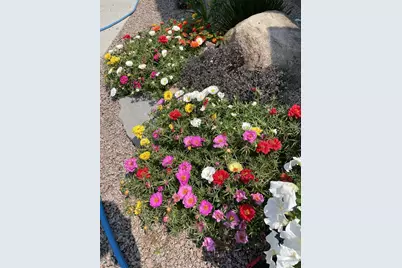 28297 Saint Croix Road, Pine City, MN 55063 - Photo 54