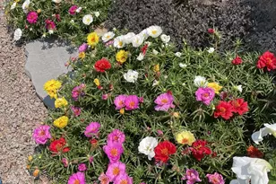 28297 St Croix Rd, Pine City, MN 55063 - Photo 54