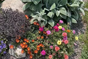 28297 St Croix Rd, Pine City, MN 55063 - Photo 52