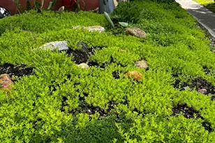 57 Dale St N, Saint Paul, MN 55102 - Photo 2