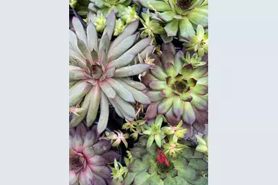 57 Dale Street N, Saint Paul, MN 55102 - Photo 4