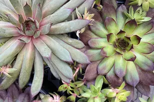 57 Dale St N, Saint Paul, MN 55102 - Photo 4