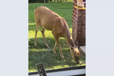 1520 Hunter Hill Road, Hudson, WI 54016 - Photo 44