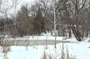 4635 192nd St, South Haven, MN 55382 - Photo 10