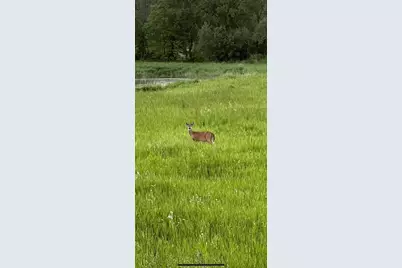 Xxxx 280th Street E, Webster, MN 55088 - Photo 1