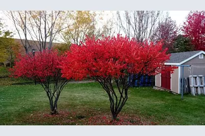 14748 Limonite Street NW, Ramsey, MN 55303 - Photo 20