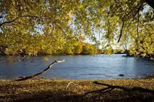 14423 Kingsview Ln N, Dayton, MN 55327 - Photo 62