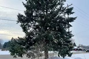 100 Idle Hour Ct, Wabasha, MN 55981 - Photo 48