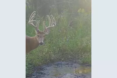Tbd Co Hwy 73, Deer Creek, MN 56527 - Photo 1