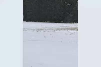 16068 County Road 56, Nashwauk, MN 55769 - Photo 10