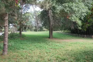 17295 Ward Lake Dr NW, Andover, MN 55304 - Photo 30