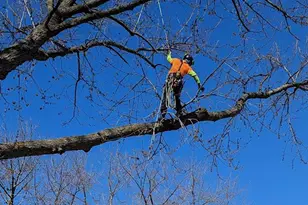 5616 46th Ave S, Minneapolis, MN 55417 - Photo 44