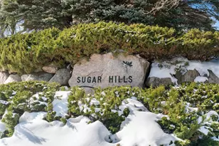 16105 37th Ave N, Plymouth, MN 55446 - Photo 54