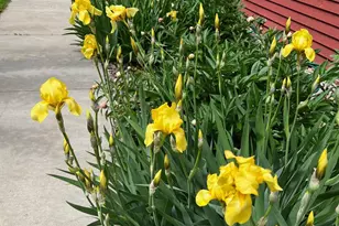 505 Quinlan Ave N, Lakeland, MN 55043 - Photo 40