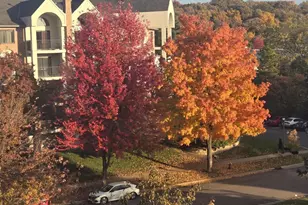 2265 Youngman Ave, Saint Paul, MN 55116 - Photo 8