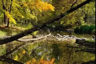 2071 Sherwood St, Mora, MN 55051 - Photo 18