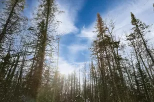 6100 Herranen Rd, Cromwell, MN 55726 - Photo 32