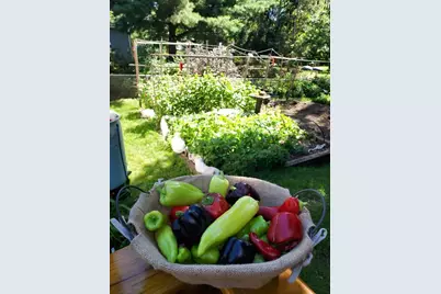 548 Doris Avenue, Shoreview, MN 55126 - Photo 32