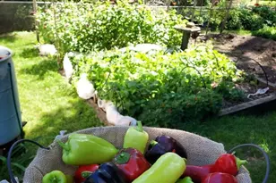 548 Doris Ave, Shoreview, MN 55126 - Photo 44