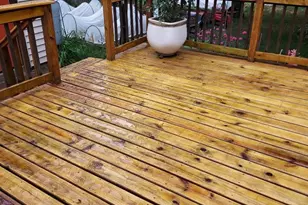 548 Doris Ave, Shoreview, MN 55126 - Photo 38