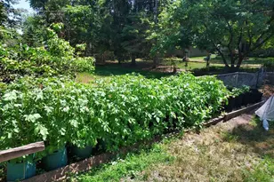 548 Doris Ave, Shoreview, MN 55126 - Photo 44