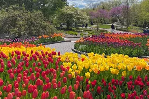 1729 Oak creek pass, Chaska, MN 55318 - Photo 46