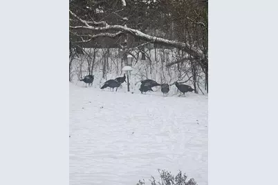 12118 Bluebird Circle NW, Coon Rapids, MN 55448 - Photo 24