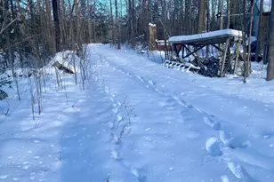 6119 County Rd 4 NE, Remer, MN 56672 - Photo 2