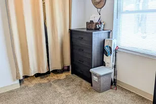 841 Main Street N, Browerville, MN 56438 - Photo 26