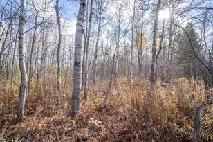 42Xb Stebner Rd, Hermantown, MN 55811 - Photo 22
