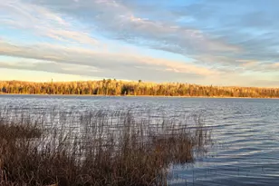 30466 Serenity Trl, Effie, MN 56639 - Photo 22