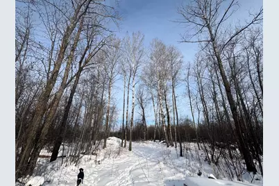 Tbd Seville Road, Saginaw, MN 55779 - Photo 6