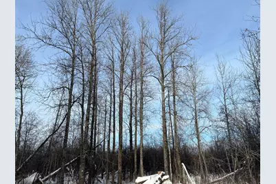 Tbd Seville Road, Saginaw, MN 55779 - Photo 18