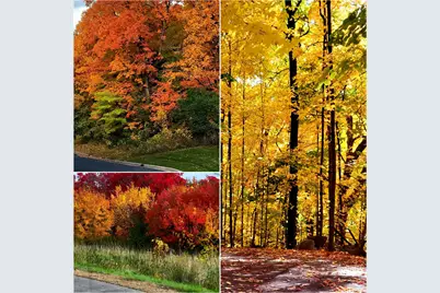 5065 Kerber Court, Victoria, MN 55386 - Photo 36