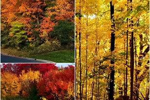 5065 Kerber Ct, Victoria, MN 55386 - Photo 36