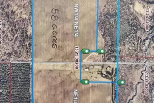 Tbd 219th, Nevis, MN 56467 - Photo 1