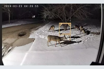 5334 State Highway 27 W, Alexandria, MN 56308 - Photo 26