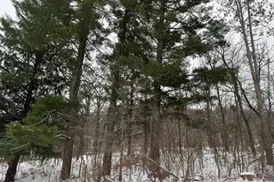 453 Spring Creek Rd S, Red Wing, MN 55066 - Photo 8