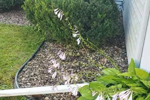 453 Spring Creek Rd S, Red Wing, MN 55066 - Photo 62