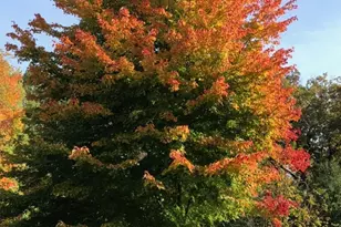 3632 140th Ave NE, Ham Lake, MN 55304 - Photo 98