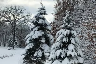 3632 140th Ave NE, Ham Lake, MN 55304 - Photo 92